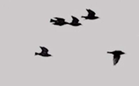 С�~��С�B�Ŀ��V����