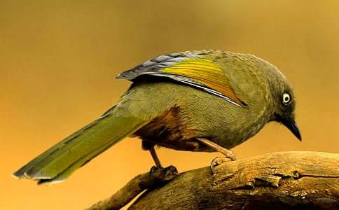 ���^��С�B������