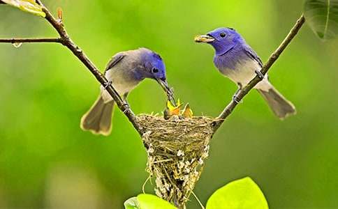 СССС�B����11ƪ