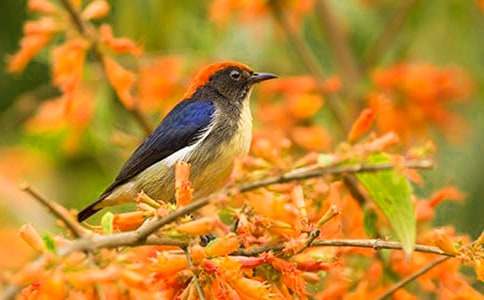 �w�M�����С�B����