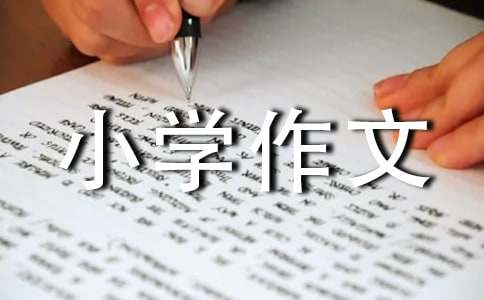 �茑�������c(di��n)��С�W(xu��)���ģ�ͨ��31ƪ��