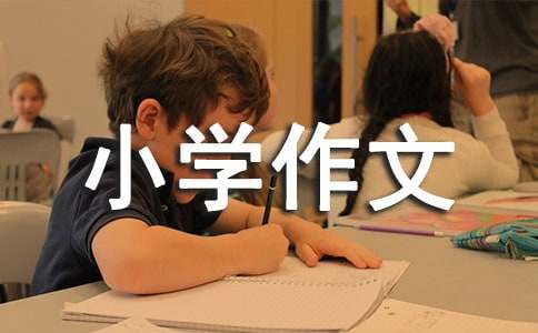 �Č�(xi��)������ͥ��С�W(xu��)����