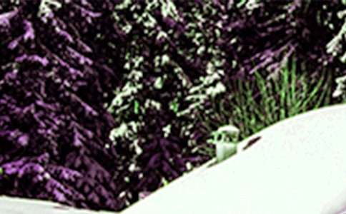 我是那一片小雪花想象作文(通用44篇)