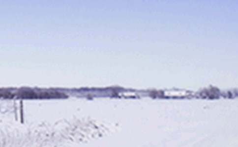 小雪優(yōu)秀作文450字