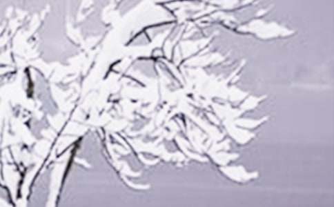 Сѩ�����ķ���