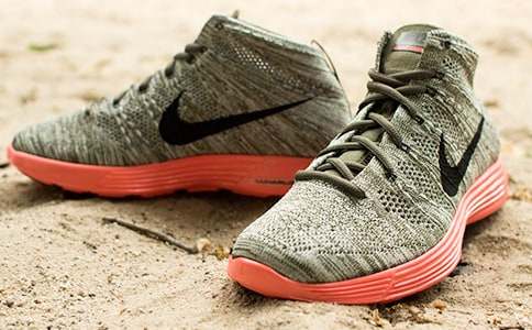 小狗與鞋子作文650字