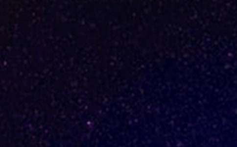 �����ǿ��µ������������