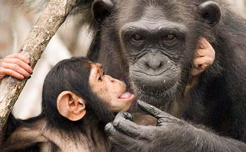 ��������x��