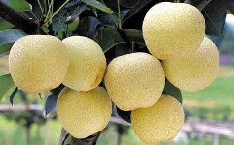 ѩ������600�ֺϼ�5ƪ