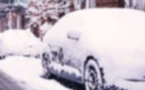 ѩ��(z��i)������12ƪ