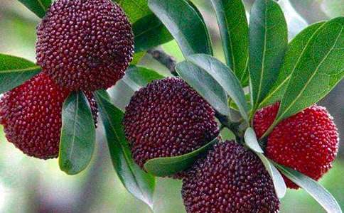 ���Ґ۹��l(xi��ng)�ė�÷���̰�