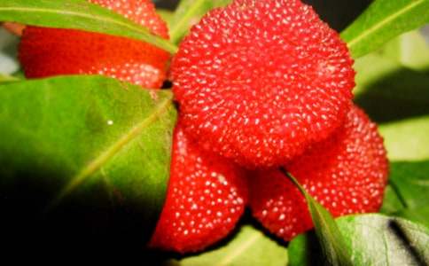 �Ґ�(��i)���l(xi��ng)�ė�÷����(5ƪ)