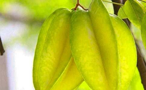 楊桃作文400字3篇