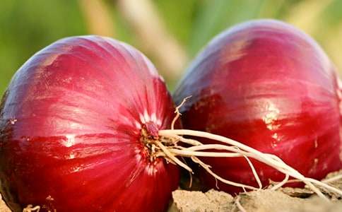 ���� �����ģ������[��ʲô�����I