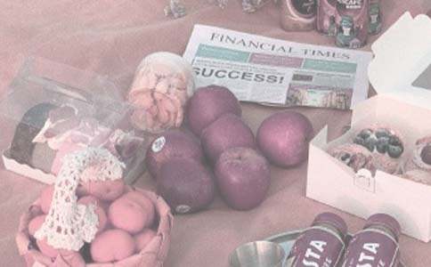 ̫��Ұ��С�W�����ģ�ͨ��22ƪ��