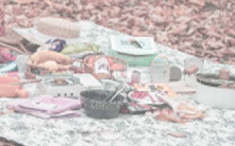 �옷(l��)��Ұ�����ľ��x5ƪ