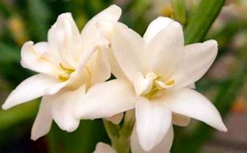 С�W(xu��)�����Ґ�ҹ����