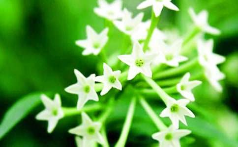 �茑ҹ����ă�(y��u)������