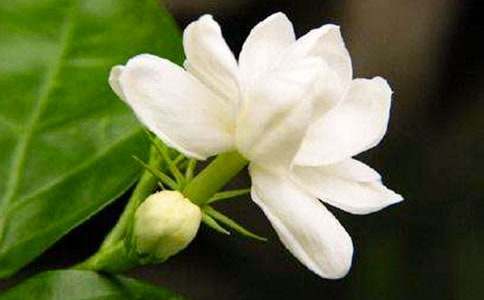 �\�\����ҹ����С�W(xu��)���꼉����