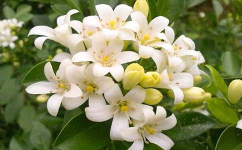 ���_�ĕr��-ҹ���㣺���w��