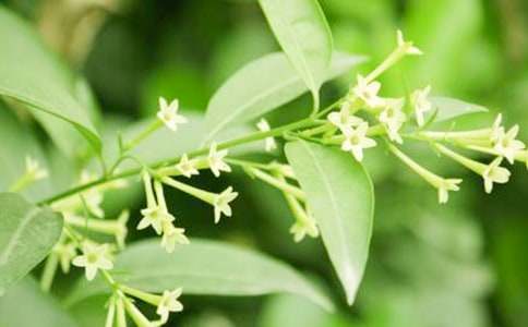 ���_(k��i)ҹ��(l��i)������900��