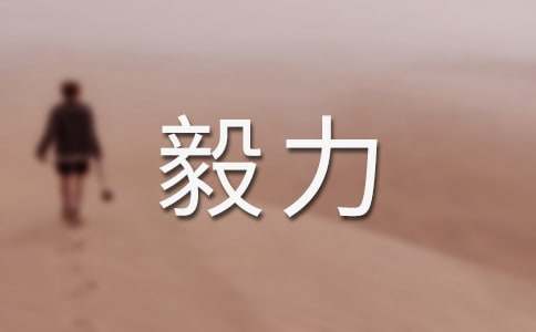 �����c��������800��