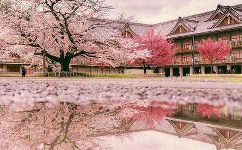 ɽ�ѻ����ģ�ͨ��43ƪ��