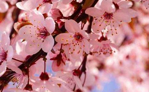 �ѻ������������