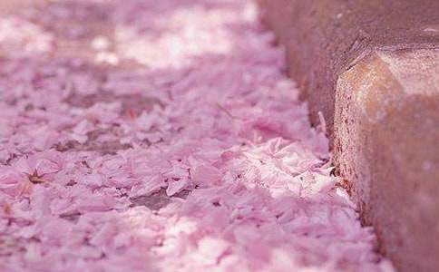 С�W(xu��)�������ѻ�