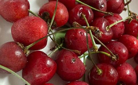 �y���ę�������