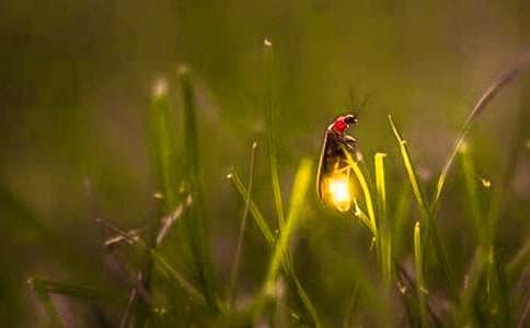 ��Ξ���xˮ������