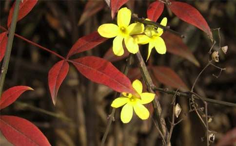 ӛ���е�ӭ����ֲ������700�֣����x22ƪ��