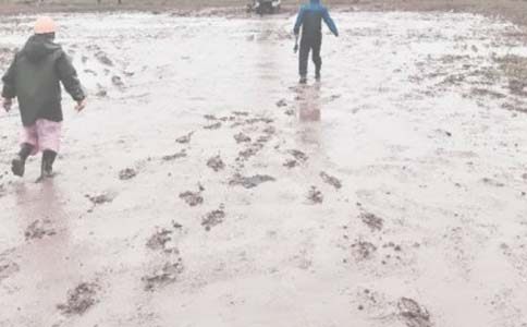 油田給貧困戶送溫暖簡報