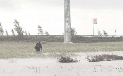 ������ĵ�