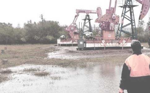 ���ﶬ����ȫ���a(ch��n)�������������x8ƪ��