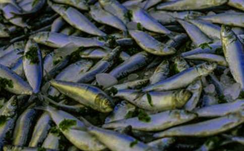 ץС�~���������400��