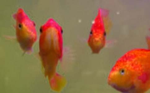 �~��ُ�N��ͬ���x15ƪ