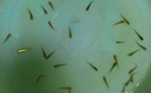 �~��ُ�N��ͬ�����]��