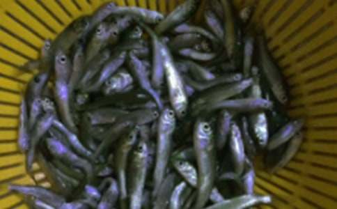 �B(y��ng)ֳ�~(y��)��ُ(g��u)�N(xi��o)��ͬ