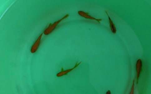 �~��ُ�N��ͬ