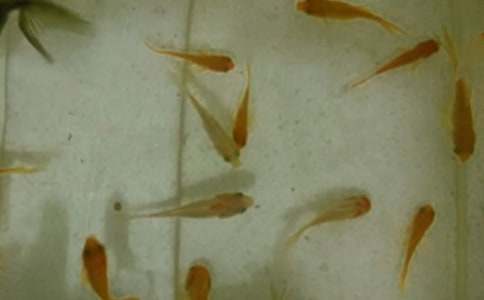 �����Ұl(f��)�F(xi��n)��С�~������