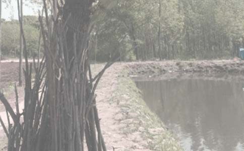 �~��ӛ������