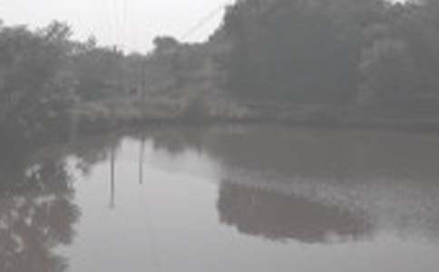 �Ґۼ��l(xi��ng)���~������6ƪ