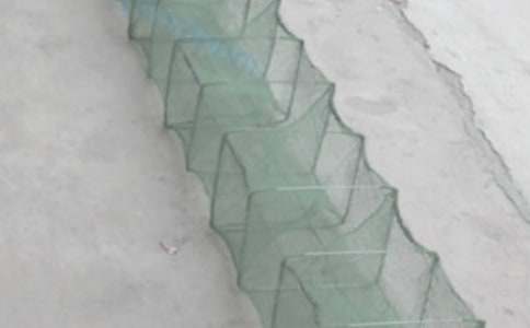 �f�O�W(w��ng)С�W(xu��)��(y��u)������