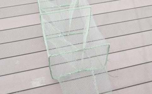 �f�O�W(w��ng)���꼉(j��)��(y��u)������