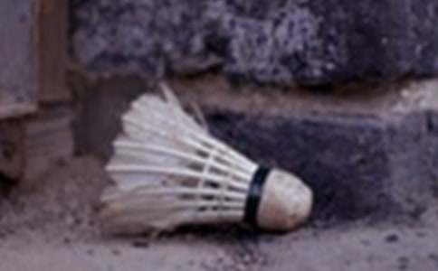 ����ë��Ę�Ȥ����800�֣����x26ƪ��