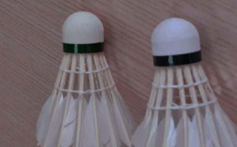 ����ë�������