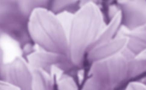 �����m����ӛ������x����(x��)�}����