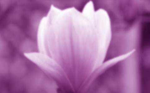 ΢�L(f��ng)���^���m���_����