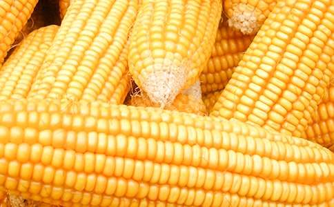 �����L(f��ng)⏵�ͯԒ����